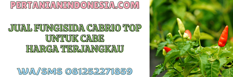 jual,murah,terjangkau,toko pertanian terdekat,pertanian indonesia